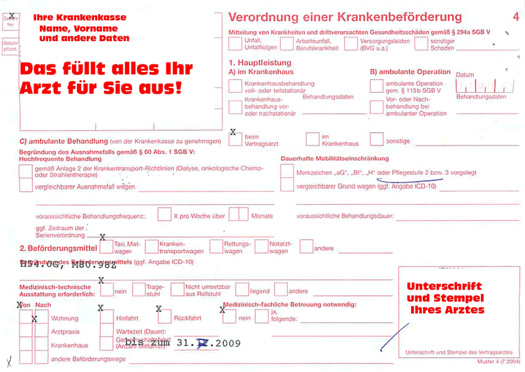 Großes Bild Muster KTS vorne